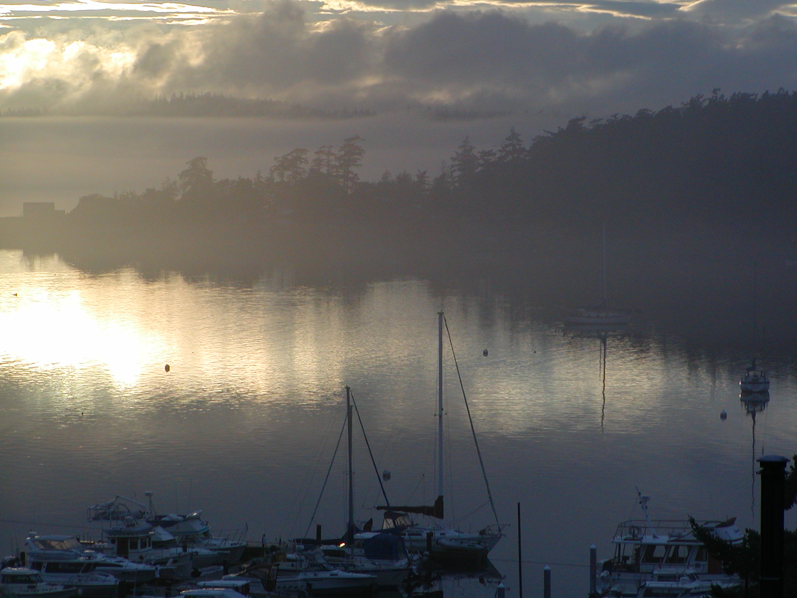 Fisherman Bay in Gray